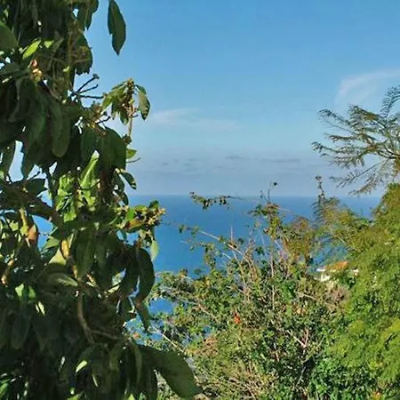 דירה Apt With Ocean View In El -f0105 סאוסאל