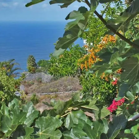 Appartement Apt With Ocean View In El -f0105 *